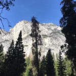 fourmile