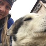 Alaskan Husky’s