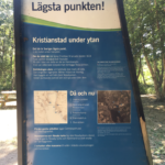 Skånsk äggakaka7
