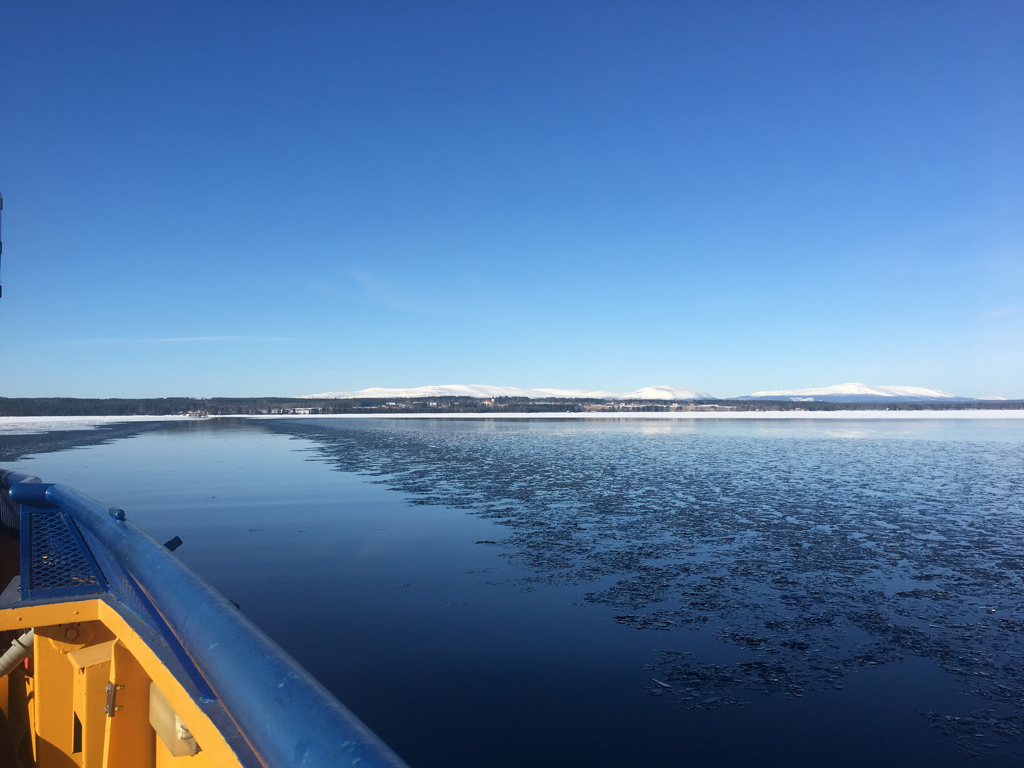 Röd lördag i Bydalen