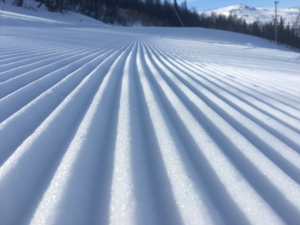Röd lördag i Bydalen