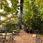 backagardens-cafe-