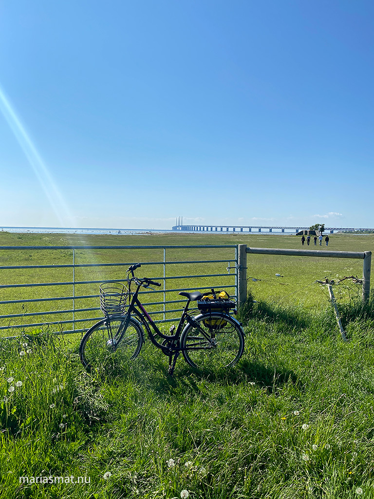 Cykel Öresundsbron