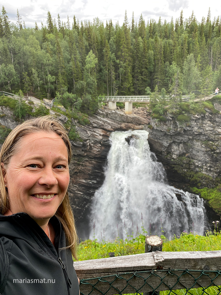 Hällingsåfallet och dess canyon