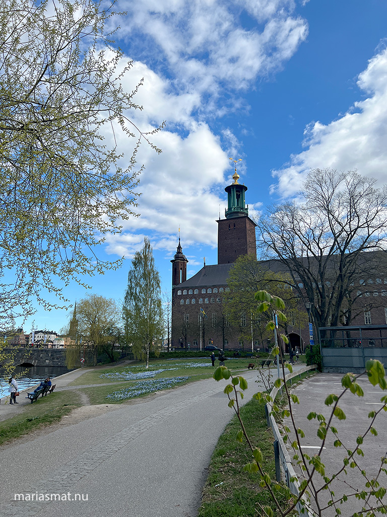 En soft dag i Stockholm