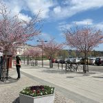 en-utflykt-till-sundsvall2