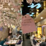 hana-sushi-krakow4
