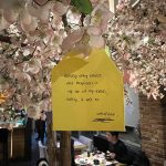 hana-sushi-krakow7