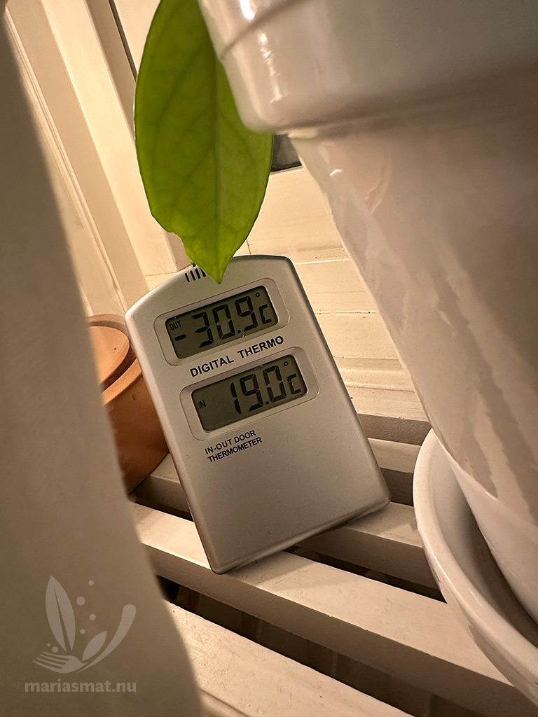 RunStreak köldrekord