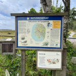 tjurpannan-naturreservat