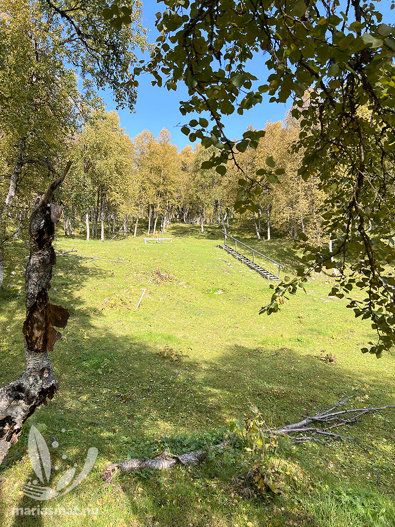 Hamrafjällets naturreservat