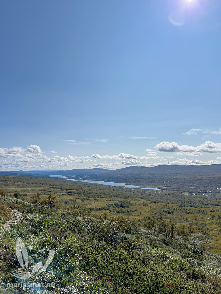 Hamrafjällets naturreservat