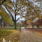 vasaparken-vasteras