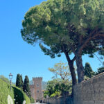 bolgheri-toscana