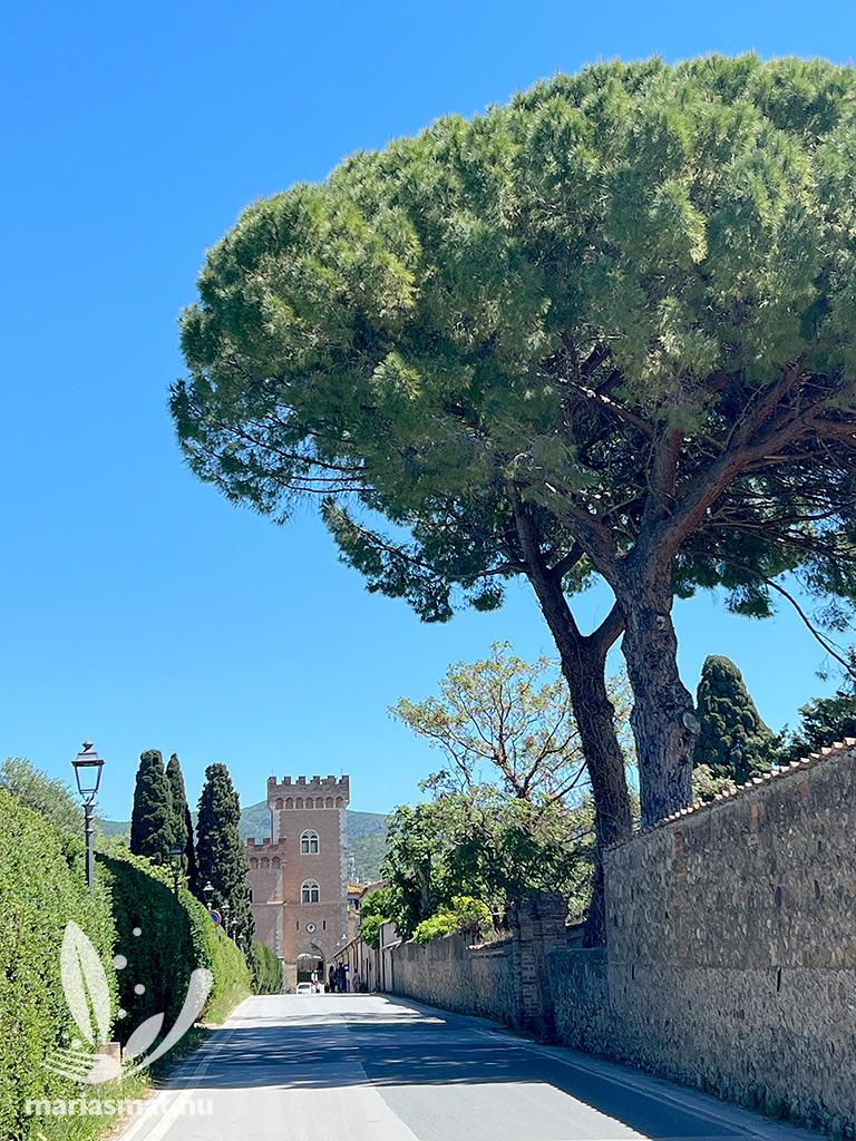 Bolgheri
Toscana