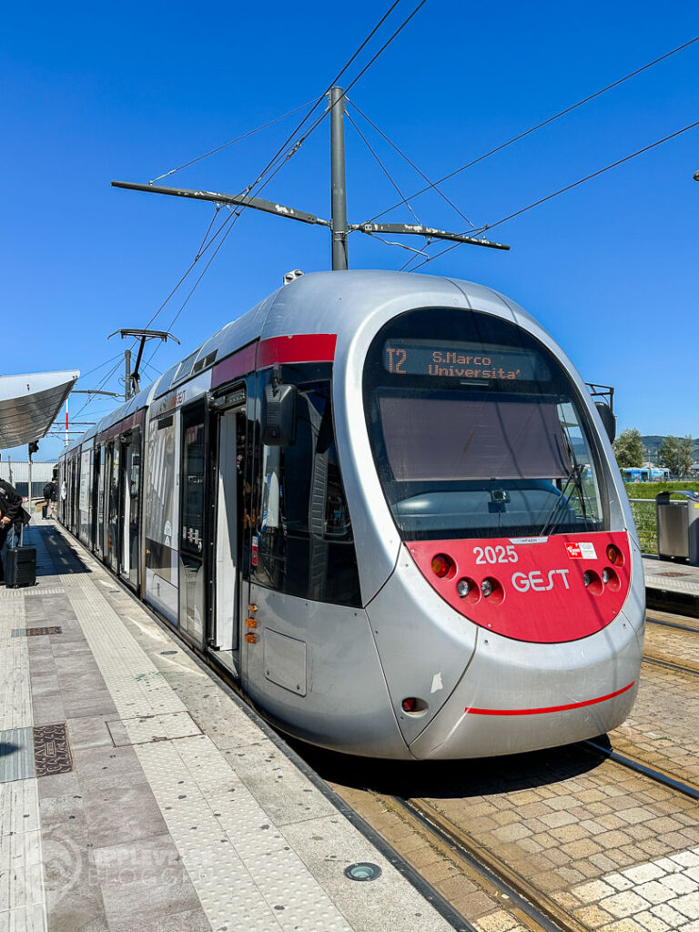 Firenze Tram