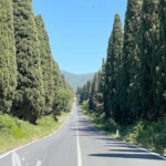 viale-dei-cipressi-toscana