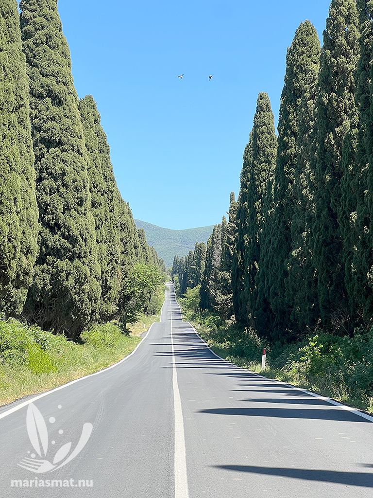 Viale dei Cipressi
Toscana
