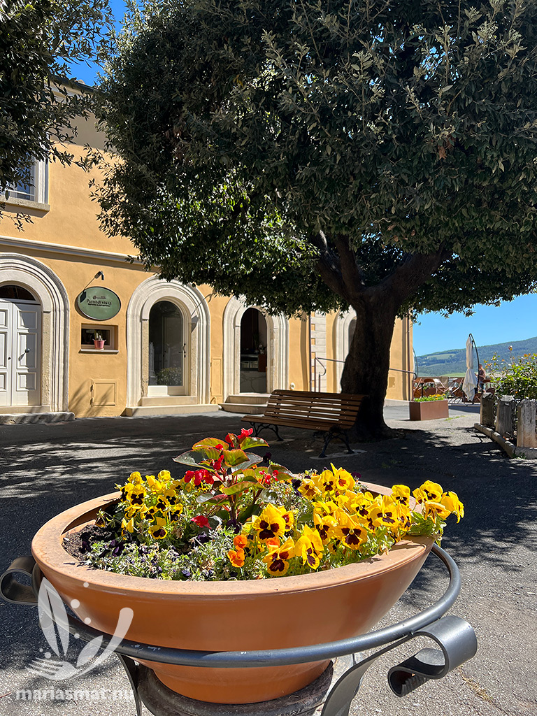 Punti Di Vista Bibbona