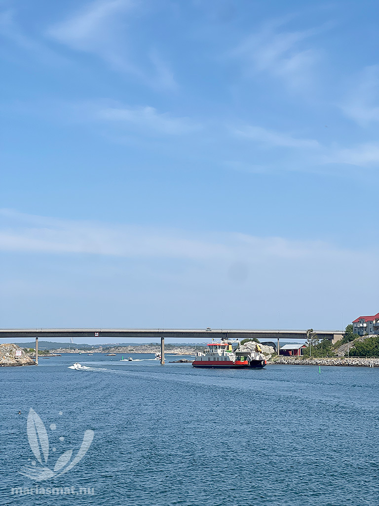 Bron Donsö