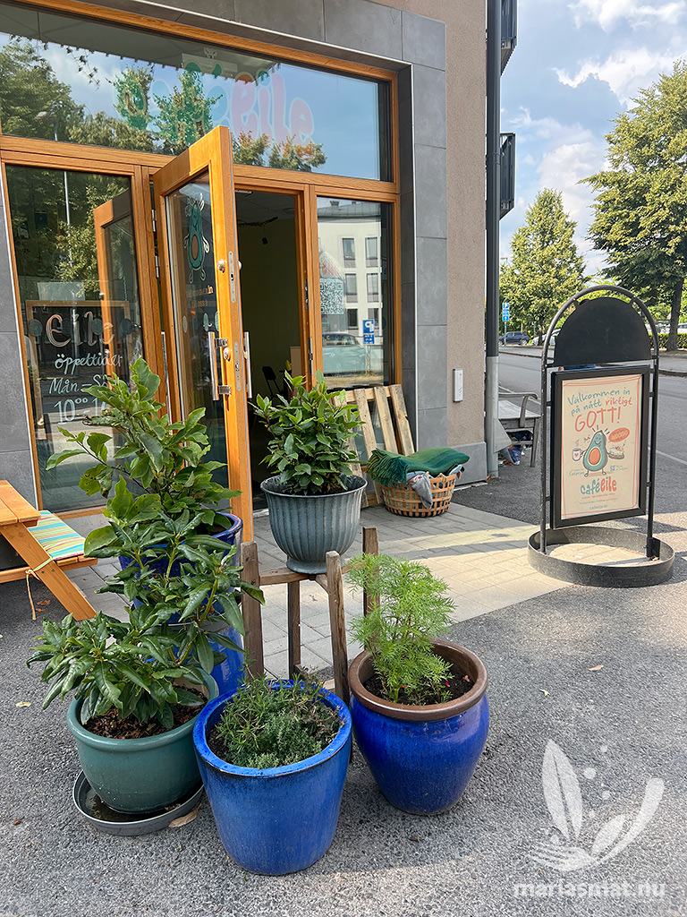 Café Elie