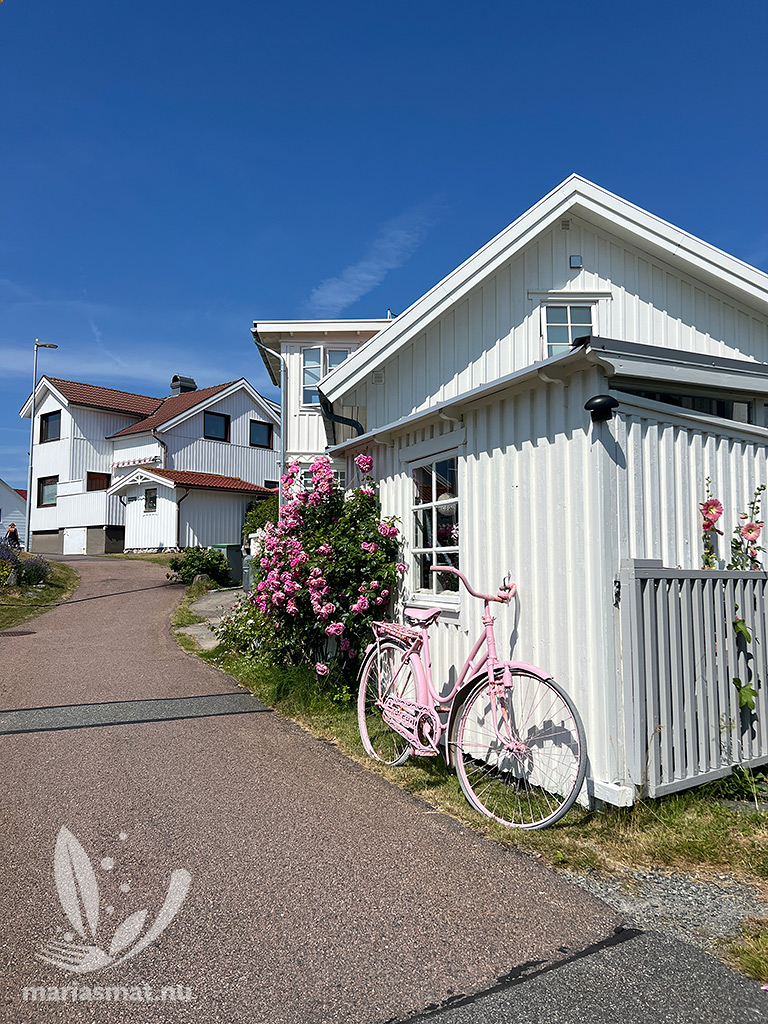 En skön dag på Vrångö