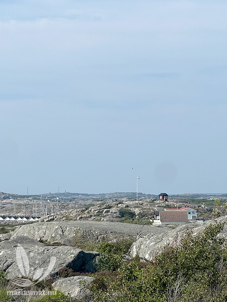 En skön dag på Vrångö
