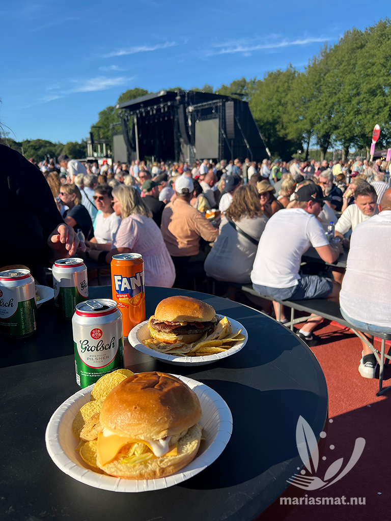 Roxettekonsert i Slottsskogen
