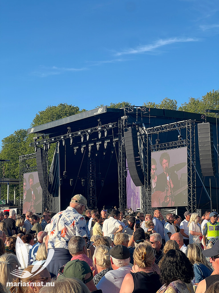 Roxettekonsert i Slottsskogen
Vilhelm Buchaus