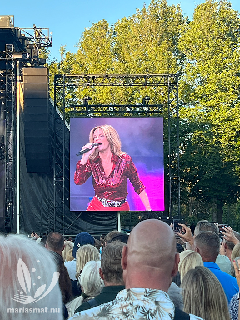 Roxettekonsert i Slottsskogen