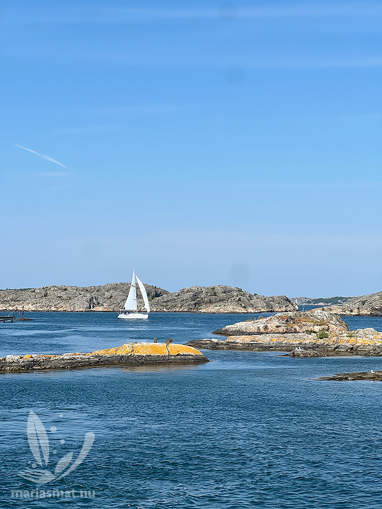 Segelbåt Göteborgs skärgård