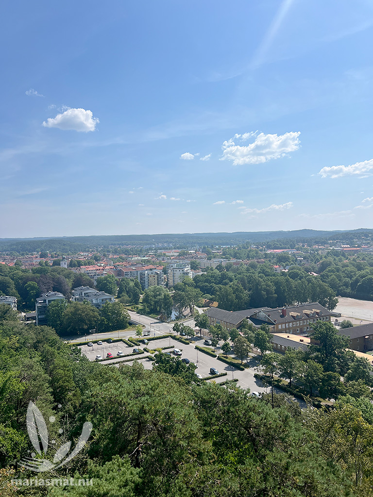 Utkikstornet Alingsås