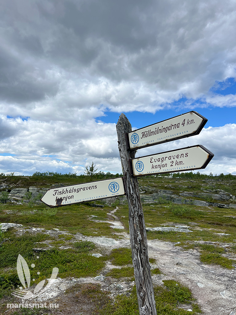 Dvärgrödingen i fiskhålsgraven