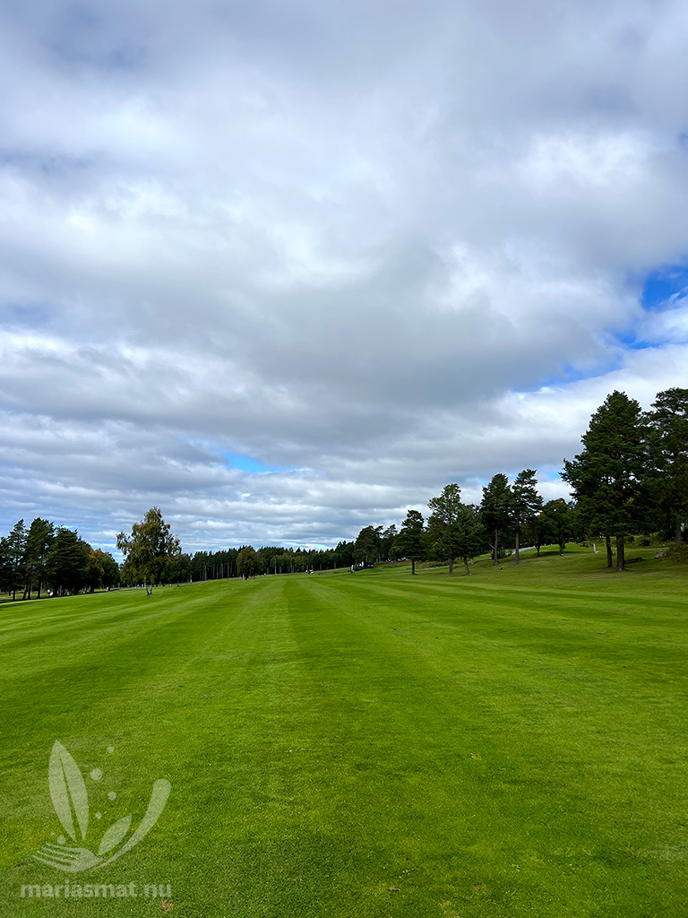 Fairway sextonde hålet