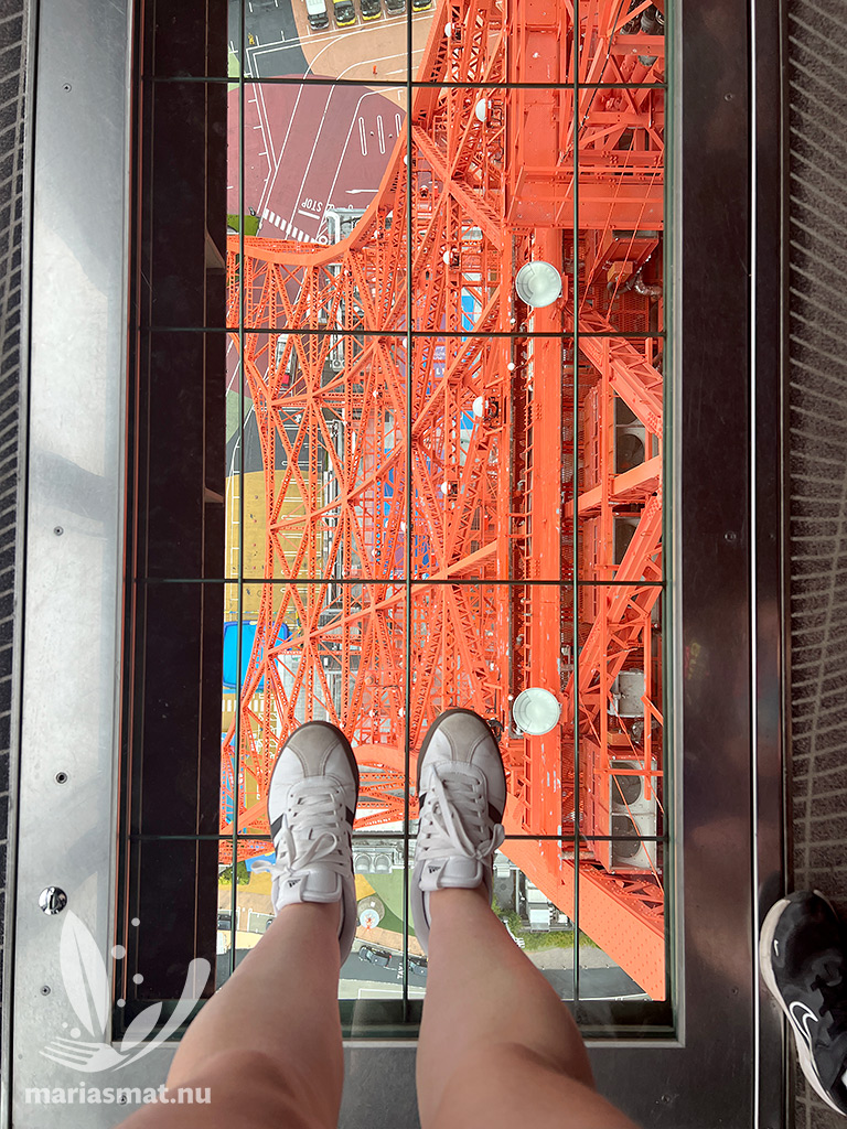 Glasgolv Tokyo Tower
