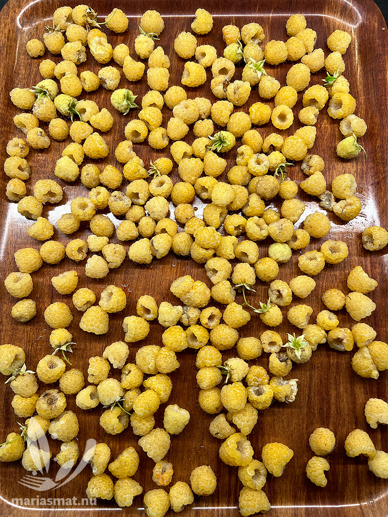 Gula hallon