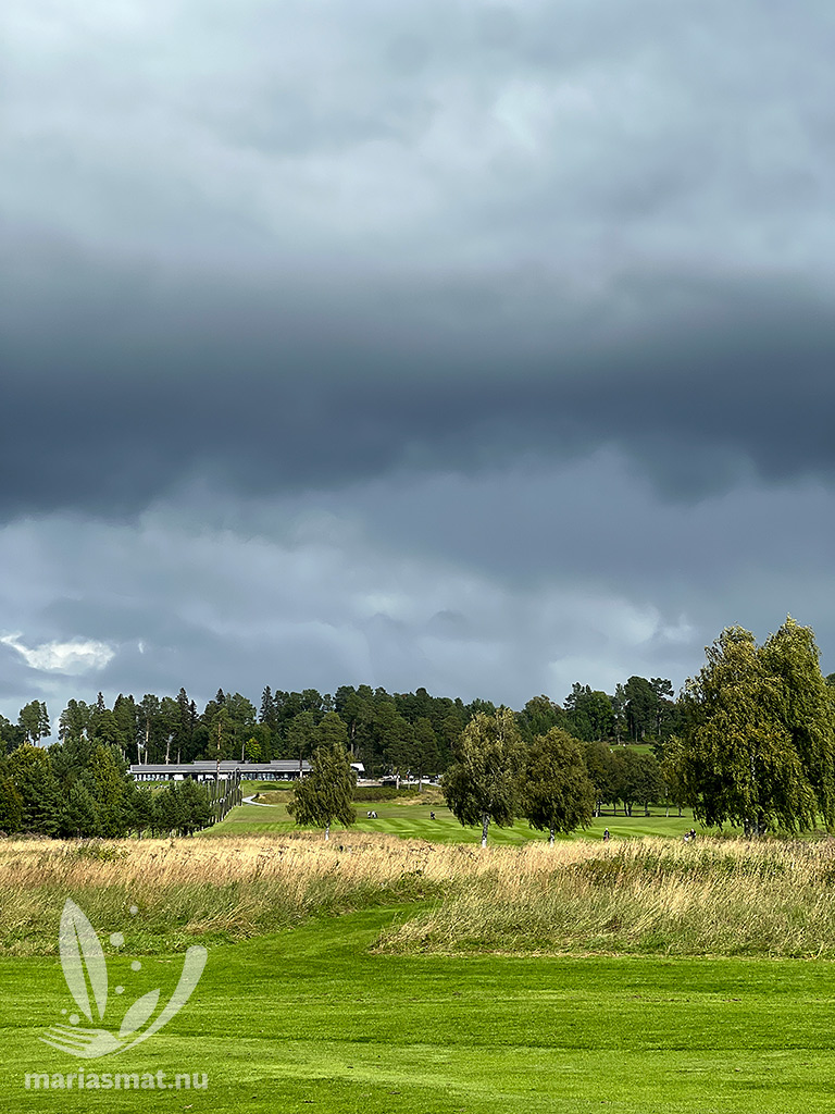 Har jag fått tillbaka golfsvingen nu?