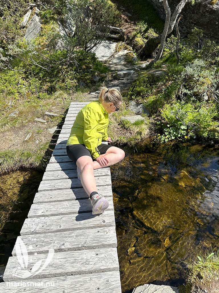 Maria
Dvärgrödingen i fiskhålsgraven