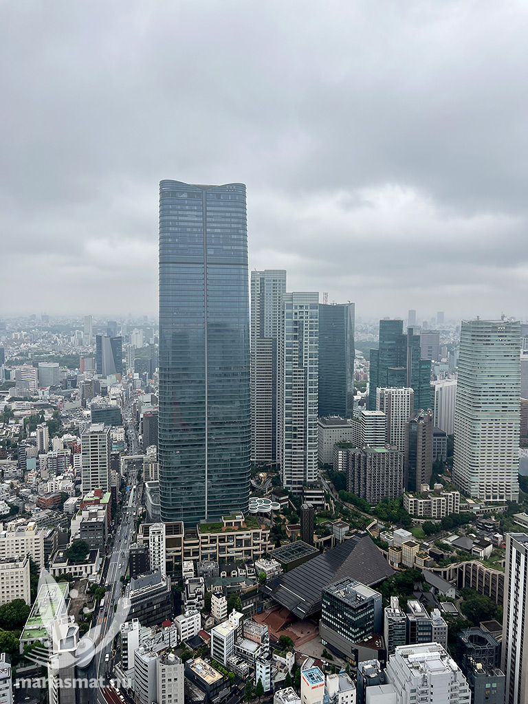 Utsikt från Tokyo Tower