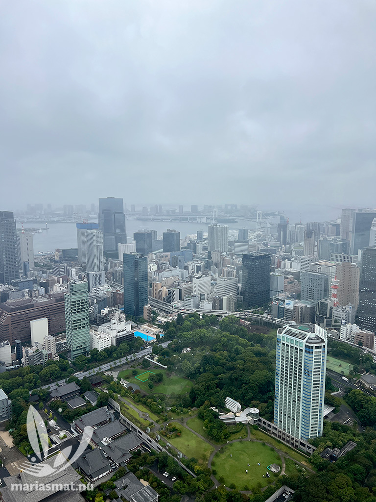 Utsikt från Tokyo Tower