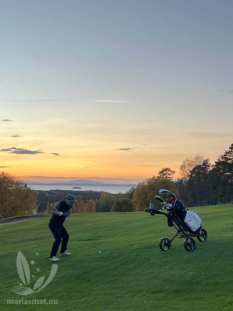 Daniel Frösö Golfbana