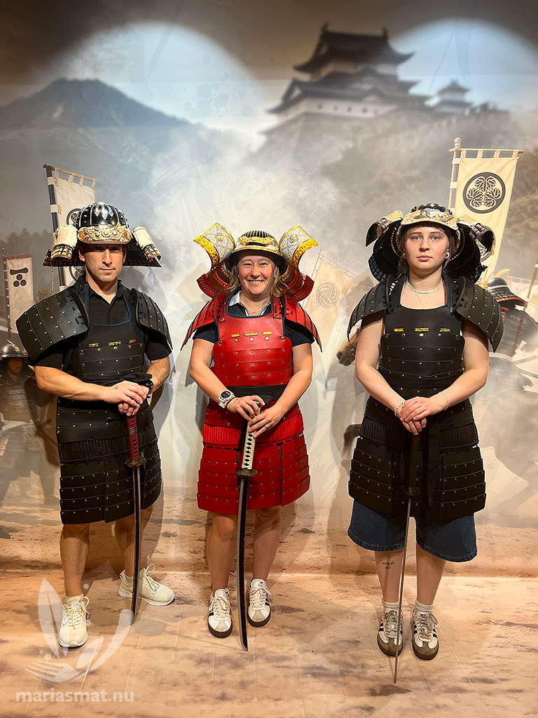 Daniel Maria Saga
Samurai- och ninjamuseum