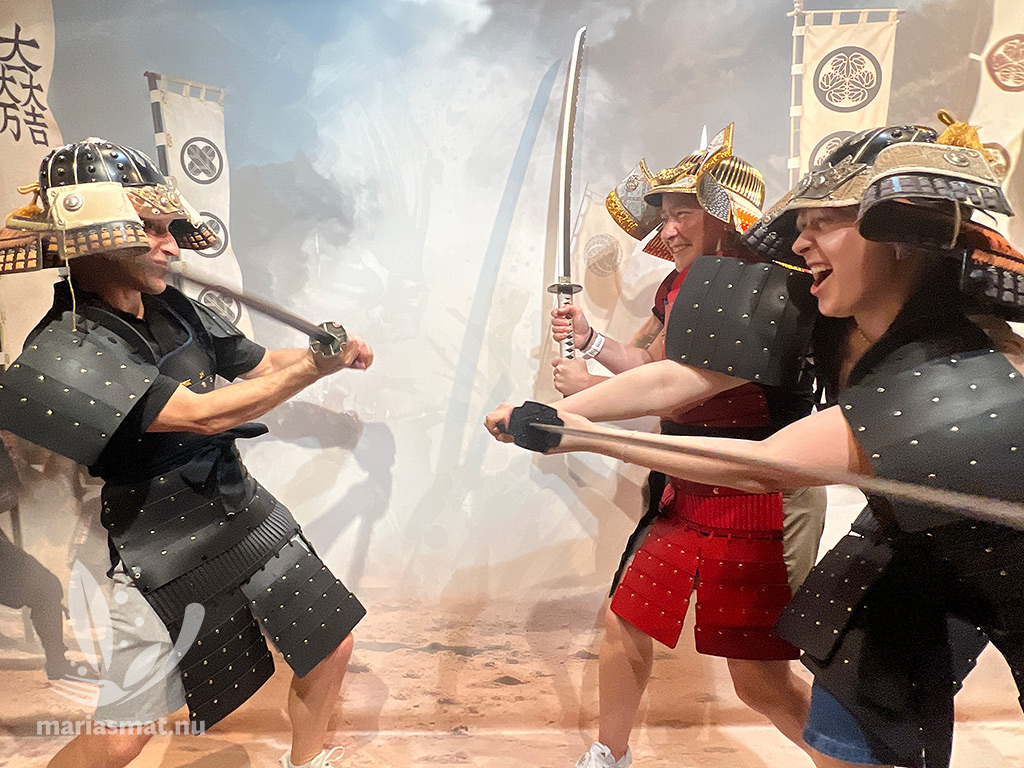 Daniel Maria Saga
Samurai- och ninjamuseum