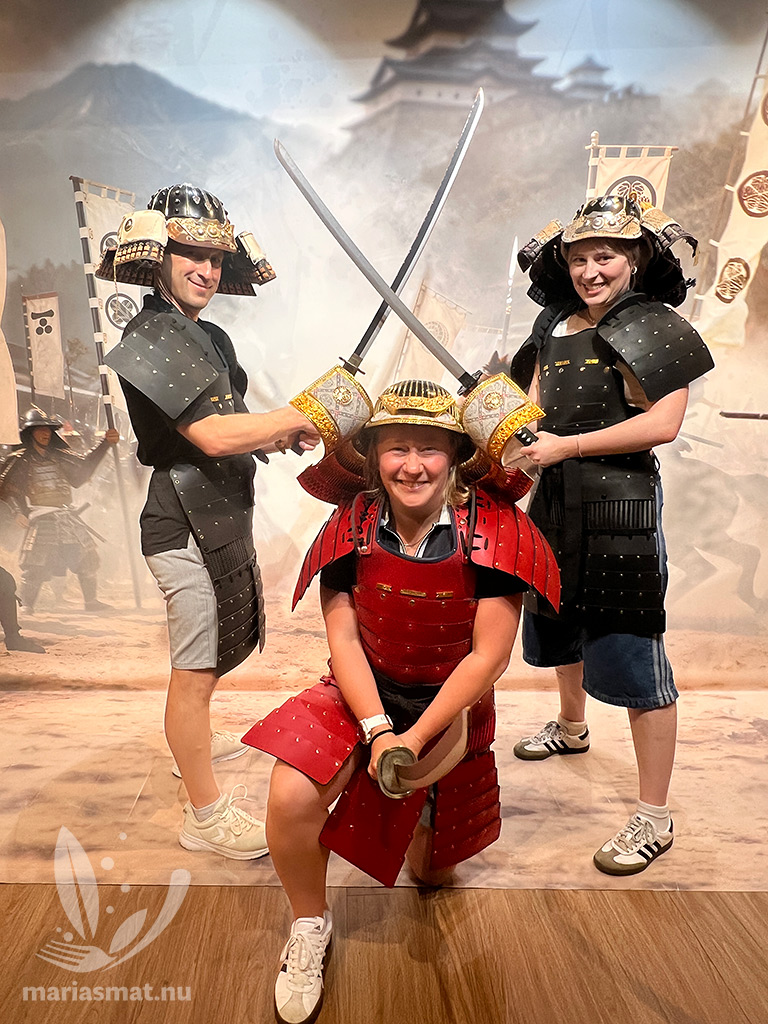 Daniel Maria Saga
Samurai- och ninjamuseum