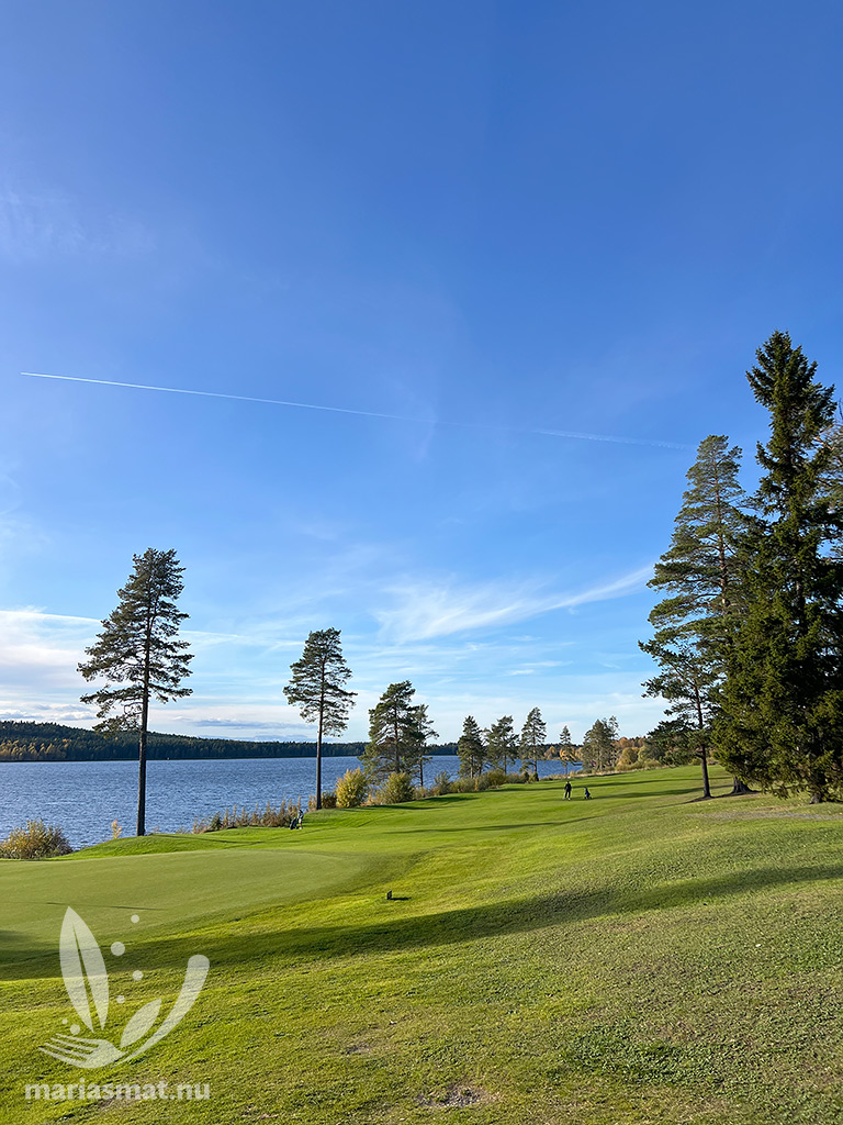 Frösö Golfbana hål 5