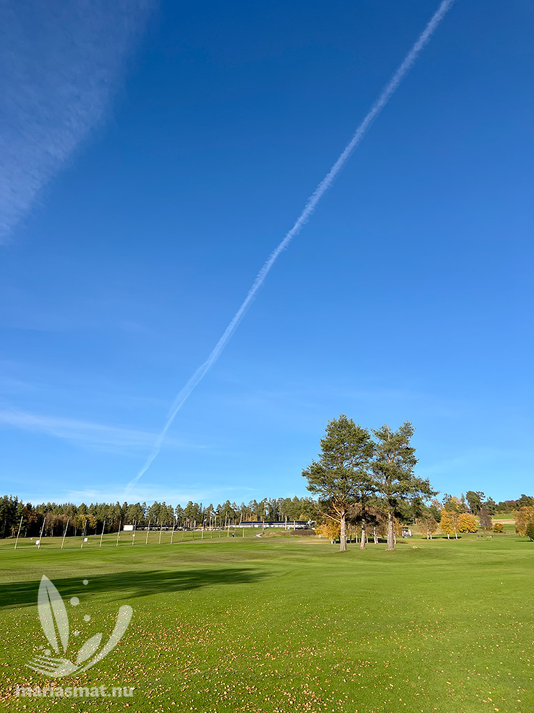 Frösö Golfbana hål 8